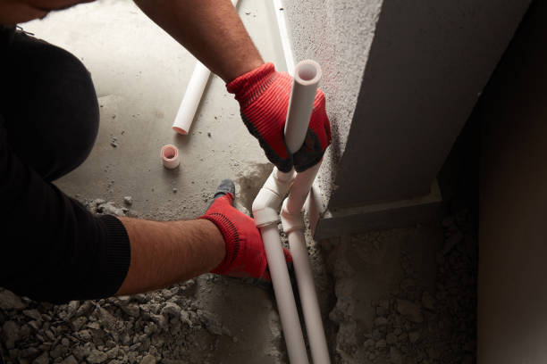 Best Local Plumber Services  in Blaine, TN