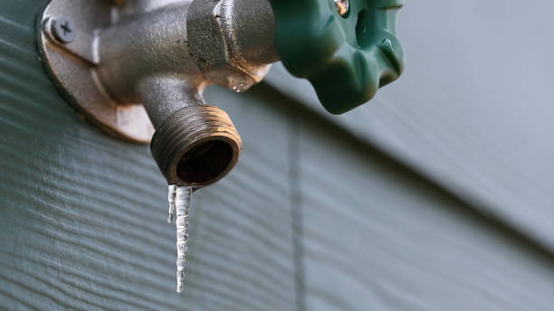 Best Sprinkler Systems  in Blaine, TN